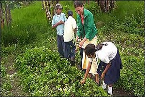 SIEMBRA DE HORTALIZAS