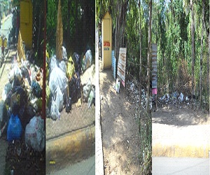 Así luce el vertedero al lado de la pollera Granja Mora. al lado de la gomera, en la calle Las Mercedes.