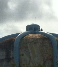 Foto cortesía de Delsa Tactuk, transeunte.