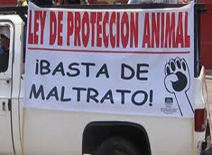 MATRATO ANIMALES