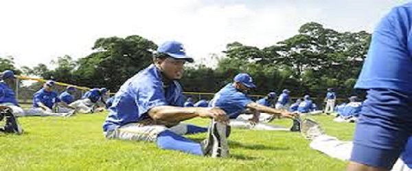 TIGRES DEL LICEY
