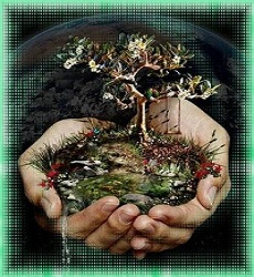 DIA DEL MEDIO AMBIENTE