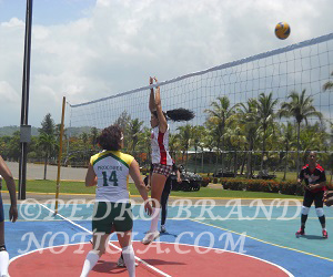 LAS AMIGUIS DE PEDRO BRAND