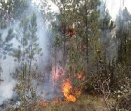 incendio forestal