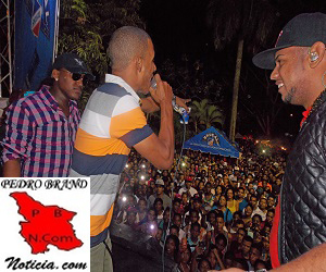 PATRONALES PEDRO BRAND 2014