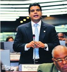 Wellington Arnaud Bisonó