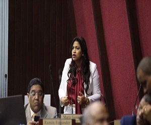 Diputada María Guzmán