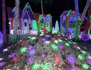 PARQUE DE LUCES BRILLANTE DE NAVIDAD