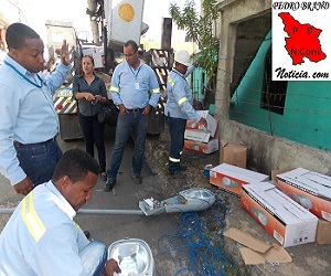 Los empleados de la UERS ensamblando las lamparas. En el fondo se observa la licenciada Bonnelly.