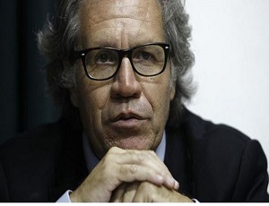LUIS ALMAGRO
