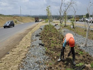 CIRCUNVALACION STO. DGO II