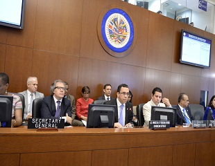 NAVARRO ANTE CONSEJO PERMANENTE OEA 1