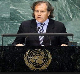 LUIS ALMAGRO