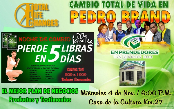 conferencia PEDRO BRAND