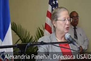 Alexandria L. Panehal