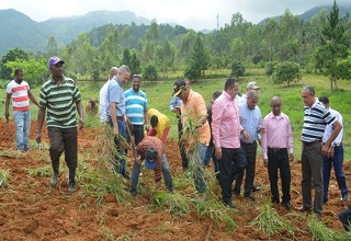 Emilio Toribio Olivo