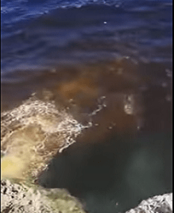 contaminacion-mar-caribe