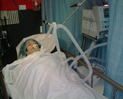 Katherine Alexandra Galantón López