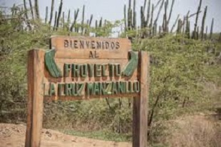 proyecto-bananero-la-cruz-de-manzanillo