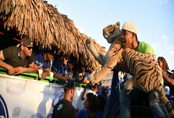 tigres-del-licey